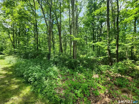 11 Old Paddock Ln, Kent, CT 06757 photo 4