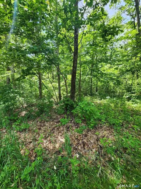 11 Old Paddock Ln, Kent, CT 06757 photo 5