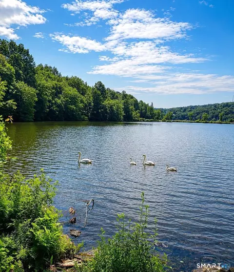 Holiday Hill, Waterbury, CT 06701