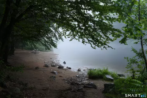 View/Area - 78 E River Rd, Barkhamsted, CT 06063 photo 3 of 5
