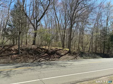 Madison Road, Durham, CT 06422 photo 16