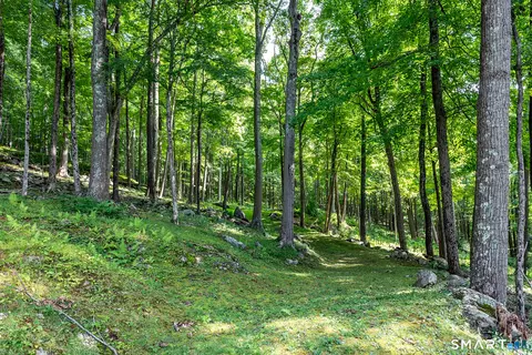 Exterior - 91 Muller Rd, Kent, CT 06757 photo 9 of 21