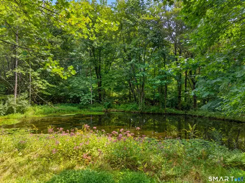Exterior - 41 Glen Grove Rd, Deep River, CT 06417 photo 11 of 11