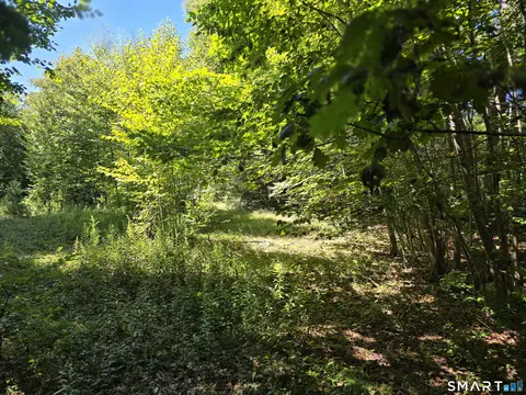 53 Flag Hill Rd, Colebrook, CT 06021