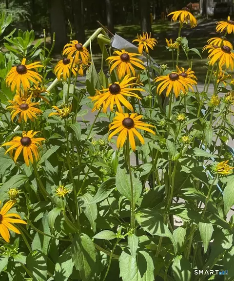 Other - 17 Evergreen Park, Clinton, CT 06413 photo 9 of 13