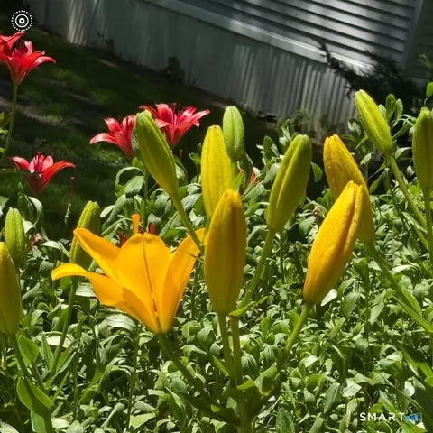 Other - 17 Evergreen Park, Clinton, CT 06413 photo 12 of 13