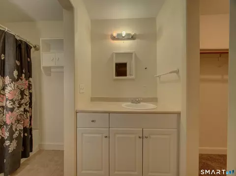 Bath - 56 Suffield Meadow Dr #56, Suffield, CT 06078 photo 2 of 3