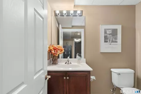 Bath - 17 Watkins Dr #17, Sandy Hook, CT 06482 photo 3 of 3