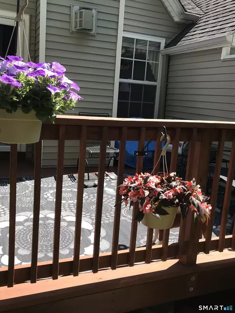 Exterior - 177 Julia Ct #177, Sandy Hook, CT 06482 photo 4 of 5