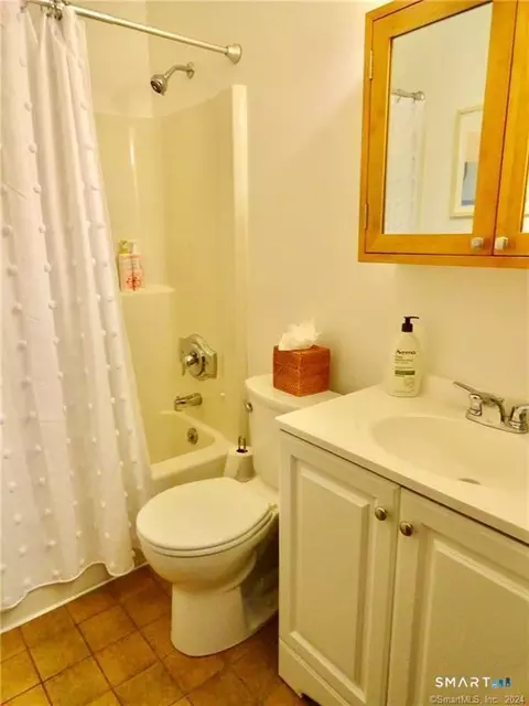 Bath - 232 Ledge Dr #232, Torrington, CT 06790 photo 3 of 4