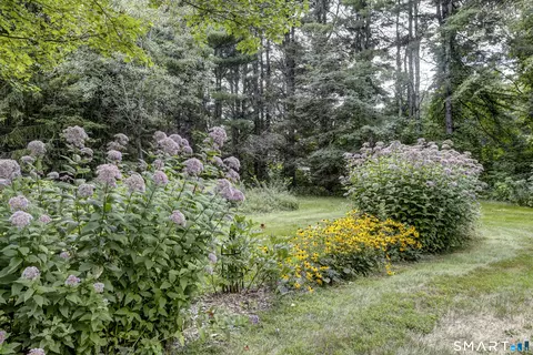 Exterior - 8 Phelps Rd, Colebrook, CT 06021 photo 7 of 7