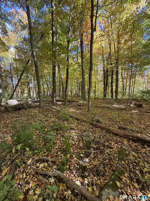 Joray Road, Sharon, CT 06069 photo 4