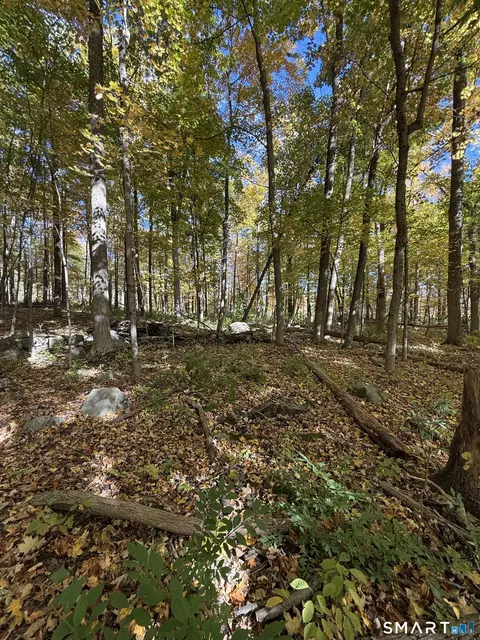 Joray Road, Sharon, CT 06069 photo 5