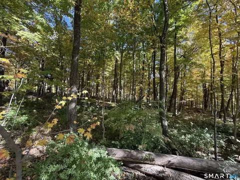 Joray Road, Sharon, CT 06069 photo 3