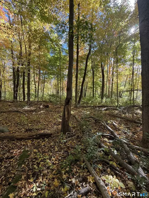 Joray Road, Sharon, CT 06069 photo 6