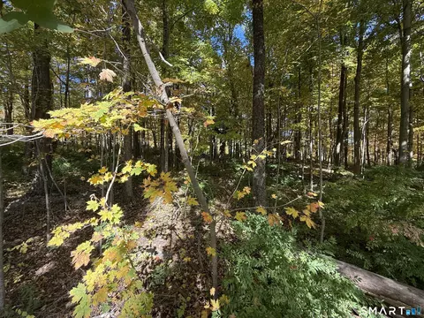 Joray Road, Sharon, CT 06069 photo 2