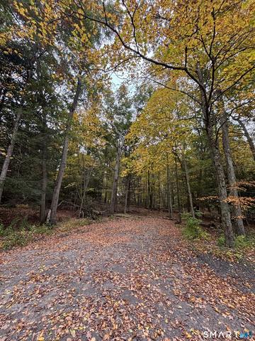 101 Shinar Mountain Rd, Washington, CT 06794