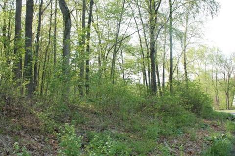 44 Deer Run Rd, Brookfield, CT 06804 photo 1