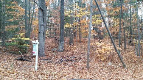 19 Deer Run Rd, Brookfield, CT 06804 photo 1