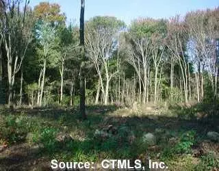 Undisclosed, East Lyme, CT 06357 photo 1