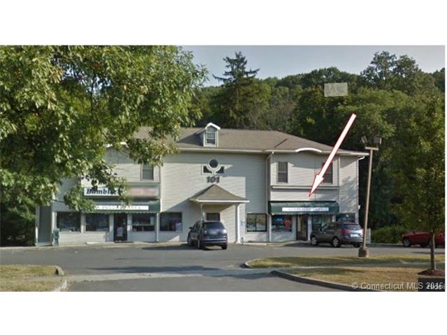 101 Mill Pln, Danbury, CT 06810 photo 1