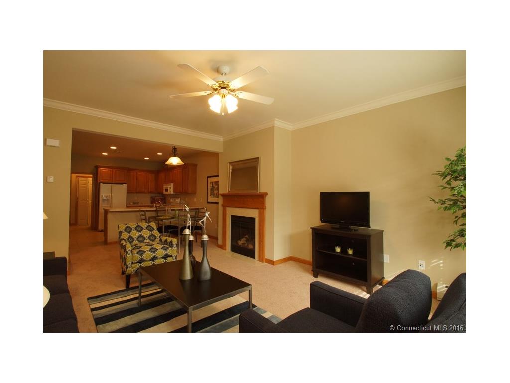 155 Winderemere, Ellington, CT 06029 photo 1