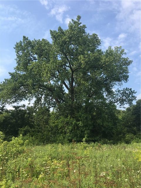 9999 E Forest St, Murray, IA 50174 photo 22