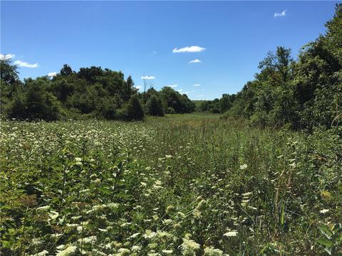 9999 E Forest St, Murray, IA 50174 photo 12
