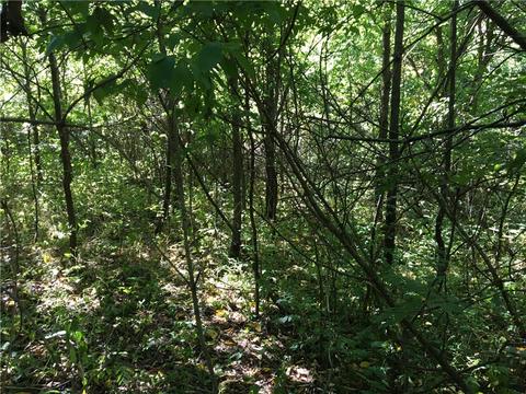 9999 E Forest St, Murray, IA 50174 photo 17