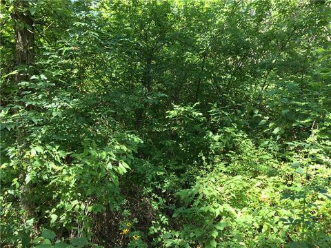 9999 E Forest St, Murray, IA 50174 photo 16