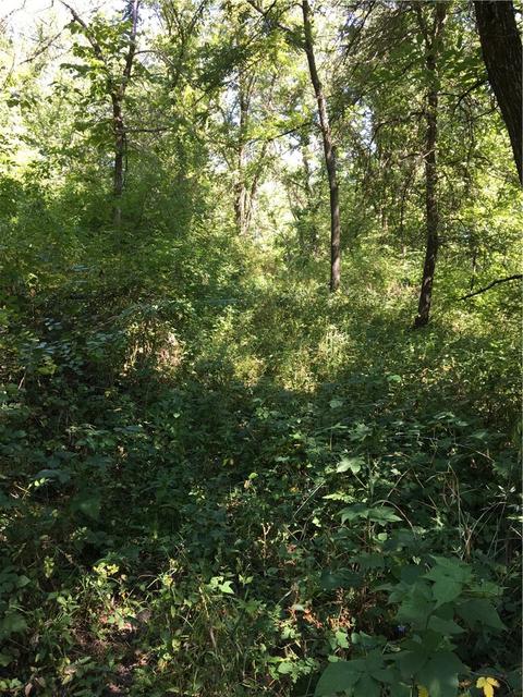 9999 E Forest St, Murray, IA 50174 photo 15