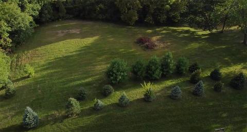 Walnut Hills Plat 2 Lot 2 & Outlot 2a Street, Adel, IA 50003