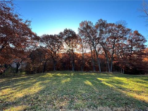 lot16 Deer Hunters Run Ln, Van Meter, IA 50261