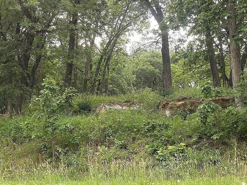 8419 Park Dr, Dexter, IA 50070