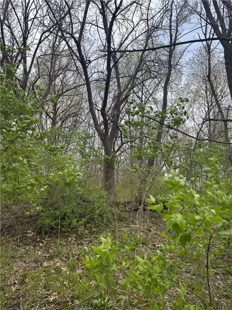 000 Lot 54 Hunters Run Dr, Van Meter, IA 50261