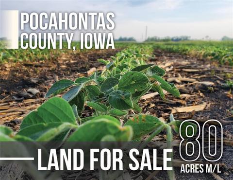 00 600th St, Other, IA 50540