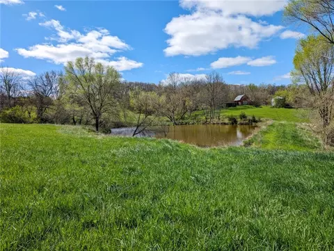 17438 198th St, Decatur, IA 50067
