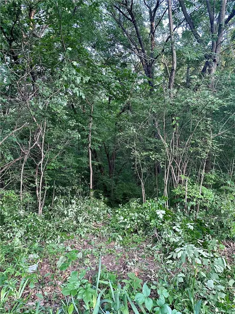 lot14 Forest Ln, Van Meter, IA 50261
