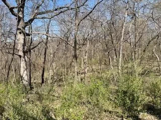 6504 Jansen Cv, Panora, IA 50216