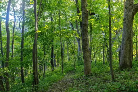 0 County Line Rd, Runnells, IA 50237 photo 23