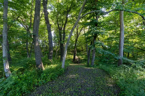0 County Line Rd, Runnells, IA 50237 photo 8