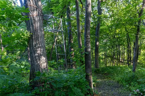0 County Line Rd, Runnells, IA 50237 photo 25