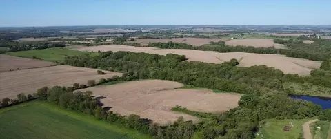 000 252nd St, Panora, IA 50216 photo 6