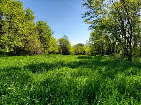 000 252nd St, Panora, IA 50216 photo 15