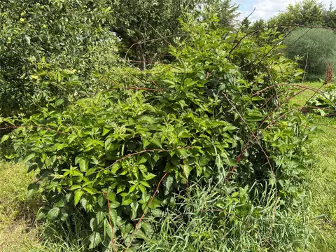 Other - 1655 Victor Ave, Stuart, IA 50250 photo 3 of 6