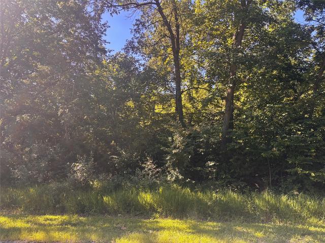 Panorama Road, Panora, IA 50216