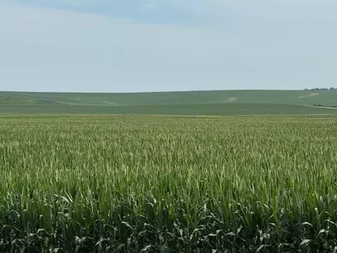 E 152nd Street S, Lynnville, IA 50153