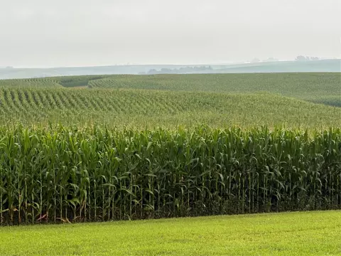 Adams Avenue, Pella, IA 50219