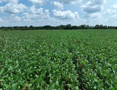 235 Th Trl, Chariton, IA 50049