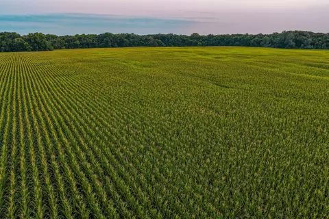 Big Bear Road, Stratford, IA 50249